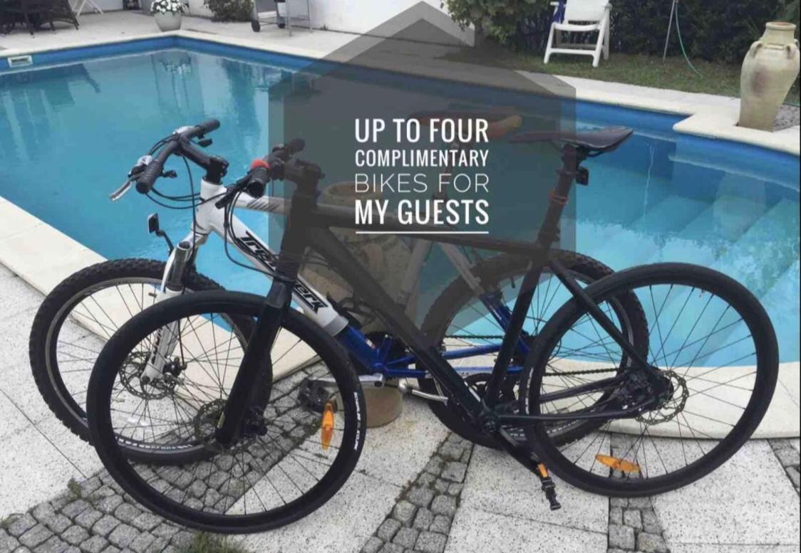 B Our Guest At New Flat Nearby Dresden !!!Pool!!! Διαμέρισμα Frauendorf  Εξωτερικό φωτογραφία